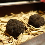 マルゴット エ バッチャーレ - 