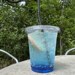 昭和記念公園内　花木園売店（花木カフェ） - ドリンク写真:ネモフィラソーダ