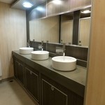 Virtu Ferries - 洗面所