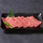 上赤身