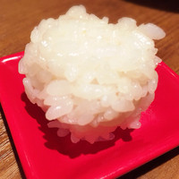 NO MEAT, NO LIFE.2nd - このご飯をしゃぶロースのタレに入れて…(気絶