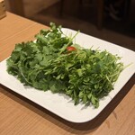 モンゴル薬膳しゃぶしゃぶ小尾羊 - ■滋養野菜3種盛合せ ¥1.645