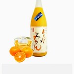 徳島 阿波横丁 - 梅の宿あらごしみかん　　　　　果実酒
