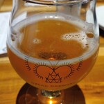 CYCAD BREWING - 