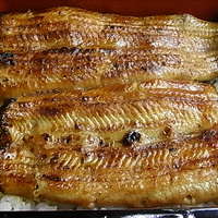 かぐら坂 志満金 - 