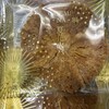 ガトウ専科 - 