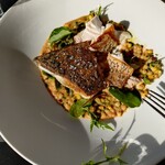 Cafe Sydney - バラマンディのポアレ。鱗がデカく相当な魚体かと。白身で上品。