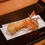 天冨良 麻布よこ田 - 