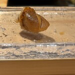 鮨 やざわ - 