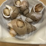 はまぐり - 