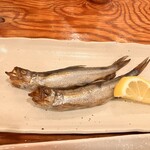 ひもの野郎 - 