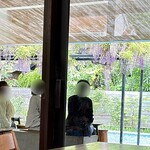 スターバックス・コーヒー - 藤棚のあるスタバ！