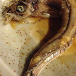 旬味 泰平 - ずるっとした魚