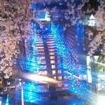 小籠包と本格中華 堀江ブルー - 入口の階段　二階へ