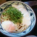 Marugame Seimen - とろ玉うどん390円(2015.2)