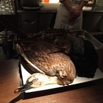 deco - 鴨、やましぎ、きじ（光の加減を考えてしっかり撮れば、きれいなキジの羽根などがわかったのですが…）