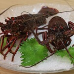 漁師酒場 鏡 - 