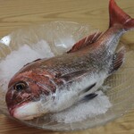 漁師酒場 鏡 - 