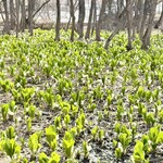 アソベの森 いわき荘 - 