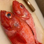 創作酒場 巓輝 - 