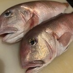 創作酒場 巓輝 - 