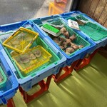 斎藤商店 - 