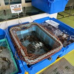 斎藤商店 - 