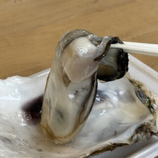BAY OYSTER_1
