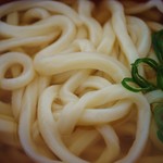 かけうどんズーム