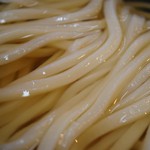 かけうどん ズーム