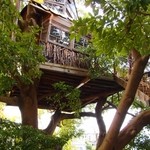 なんじゃもんじゃカフェ