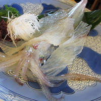 河太郎 中洲本店 - 剣先イカ刺し