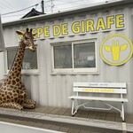 CREPE DE GIRAFE - 