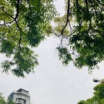 マクドナルド - 料理写真: