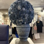 biodinamico - 