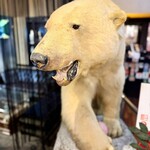 ペンギンのいるダイニングバー沖縄 - 剥製の白熊もいてます