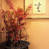 玄海 本店 - 桜の季節ですので・・・