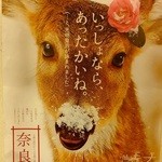 トラットリア・ピアノ - 奈良(’15.01月)