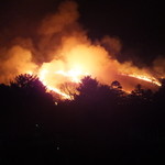 トラットリア・ピアノ - 若草山焼き：古都奈良の新年を飾る炎の祭礼(’15.01月)