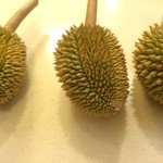 NOBU - 赤ちゃんのドリアン