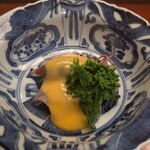 辻布紗