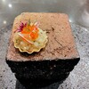 蓮 - 紋甲烏賊
