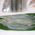 鮨　ミ雲 - 白魚。子持ち。