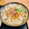 手打ちうどん つるや - かけうどん（大）です。（2026.4 byジプシーくん）