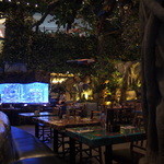 Rainforest Cafe - 