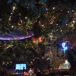 Rainforest Cafe - 