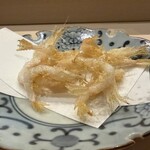鮨 いぬかい - 白魚の天ぷら