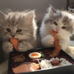 サンシ - 