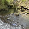 秋川国際マス釣場 - 