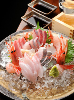 h Hachimaru - 朝獲れ鮮魚の盛り合わせ